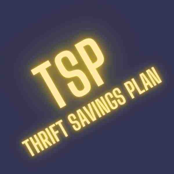 THRIFT SAVINGS PLAN VS. 401(K)